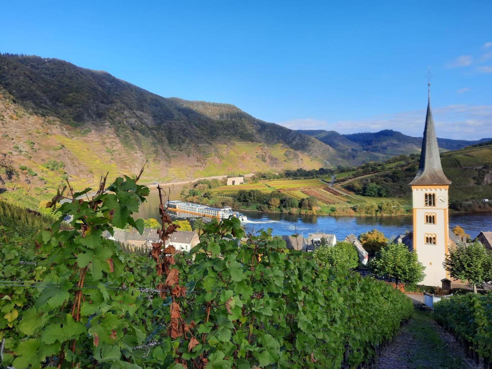 Winzerhaus Schenk Apartment Neef Екстериор снимка
